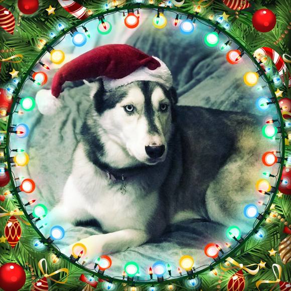 Meet your Posher, Denise - Picture 1 of 1